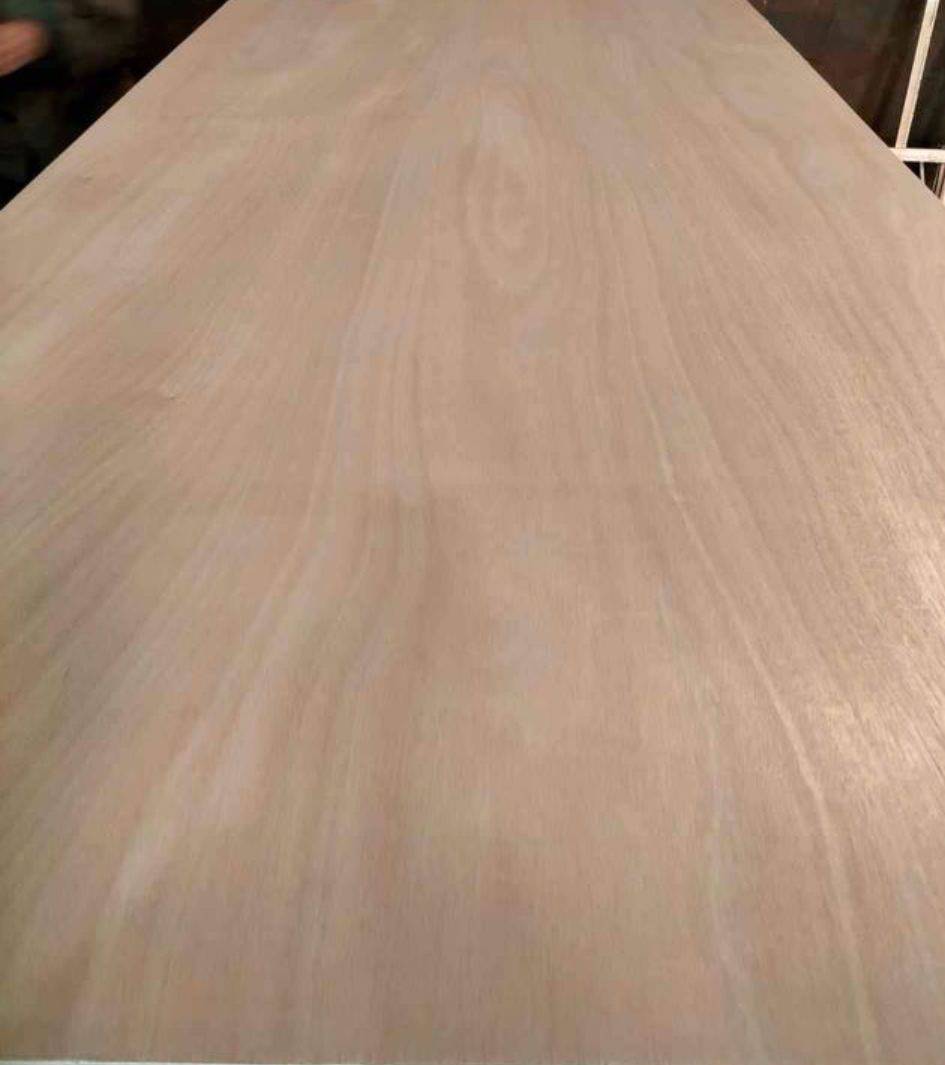 18 MM Plywood Okoume  Poplar Core, Untreated