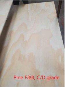 18 MM Plywood Okoume  Poplar Core, Untreated